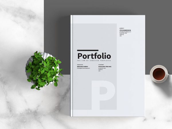 adobe portfolio download